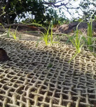 Jute Soil Saver